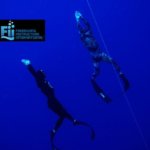 freediving fins