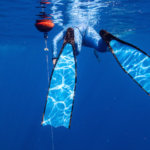 freediving fins